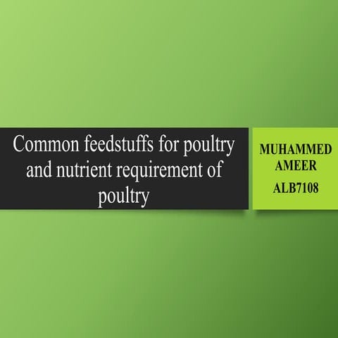 Common feedstuffs for poultry and nutrient requirement of poultry feed