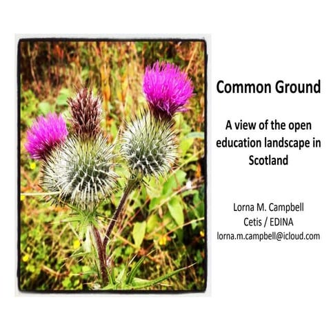 Common ground: A view of the open education landscape in Scotland 