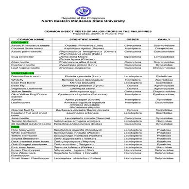 Common Insects of Common of Major Crops in the Philippines_2024.docx