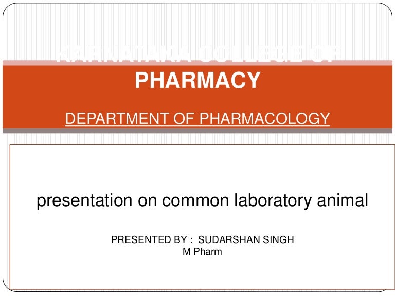 Common laboratory animals