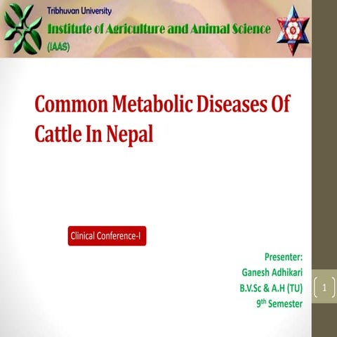 Common metabolic diseases of cattle
