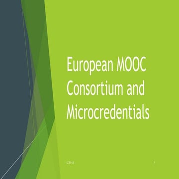 Common microcredential framework discussion at European Business Forum 25 10-...