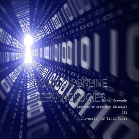 Common Online Terminologies