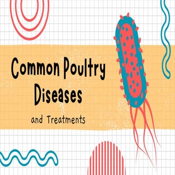 Poultry Diseases, Avian Diseases, Common Chicken Diseases,doencas de ...