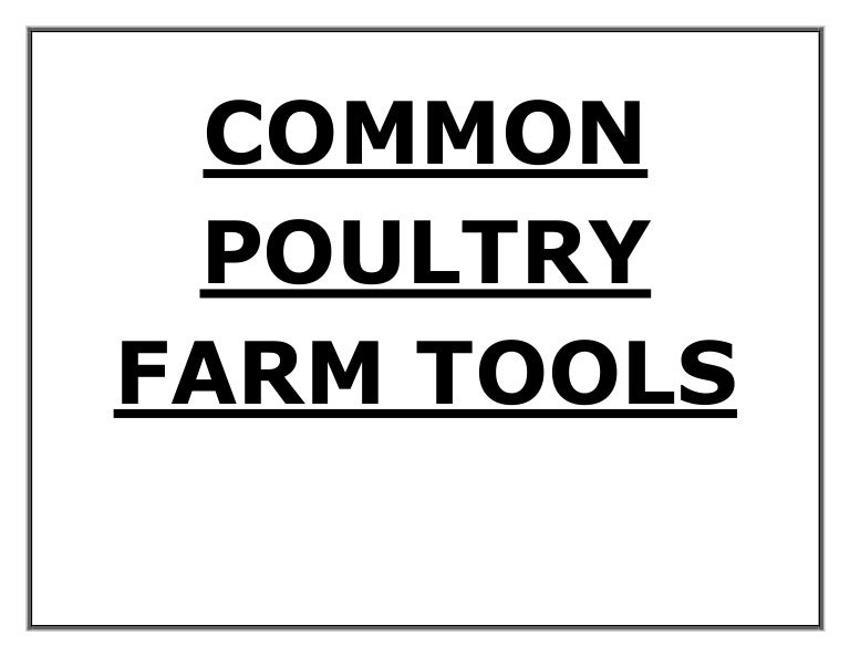 Common poultry farm tools