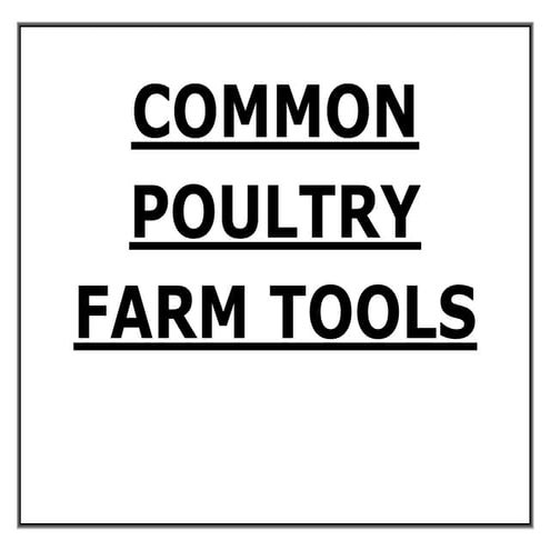 Common poultry farm tools