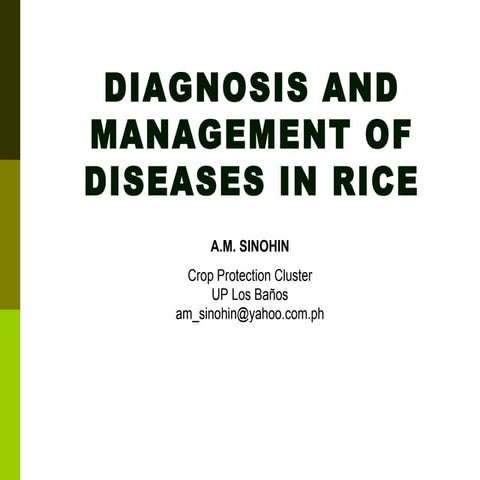 Common rice diseases (am sinohin)