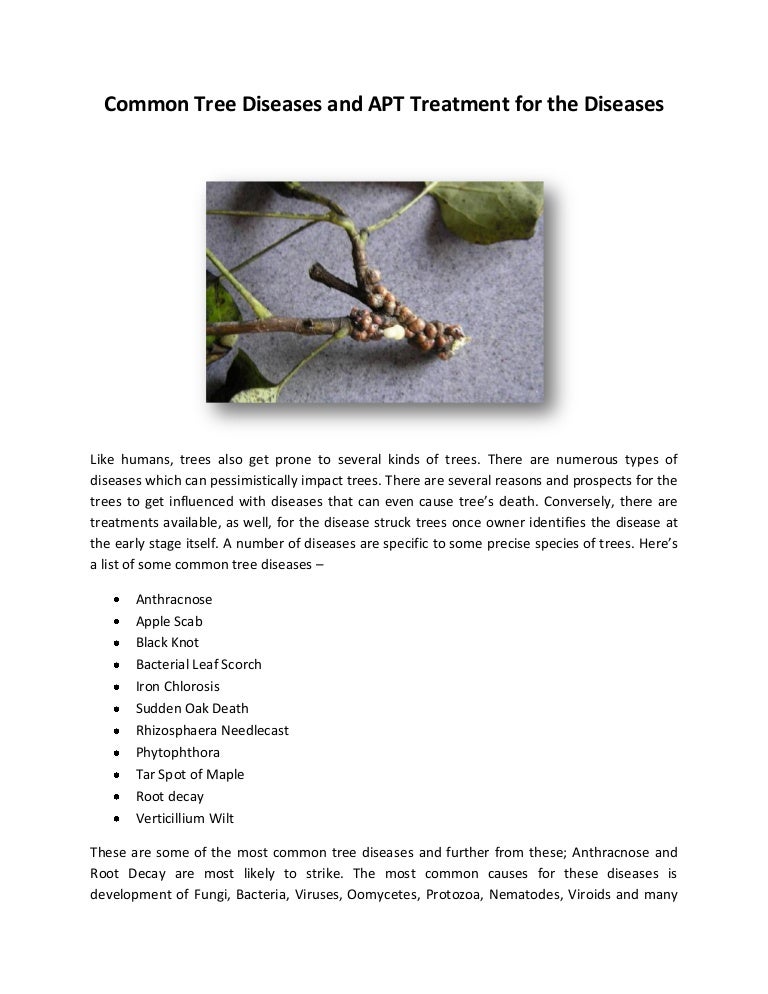 Common Tree Diseases and APT Treatment for the Diseases
