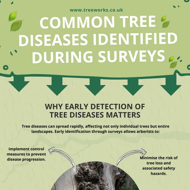 Common Tree Diseases in Rochester & How to Treat Them.pdf