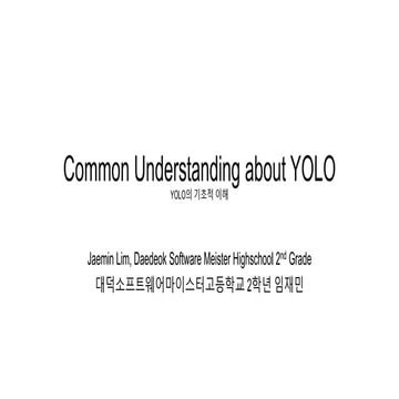 Common Understanding about YOLO