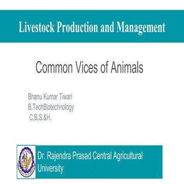 Common vices of animals (livestock) 
