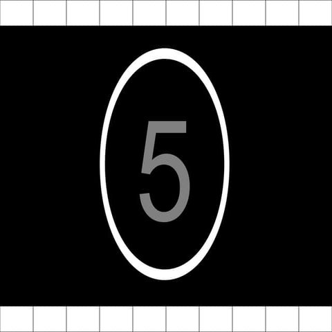 Commonwealth games 2010