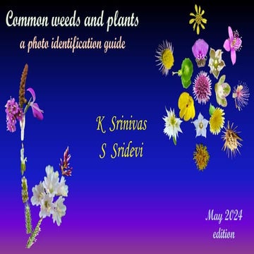 Identification of Common weeds and plants