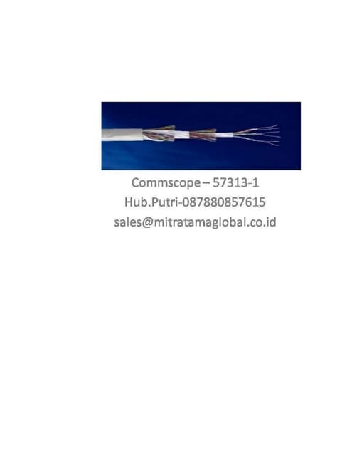 Commscope 1427431 4 | DOCX