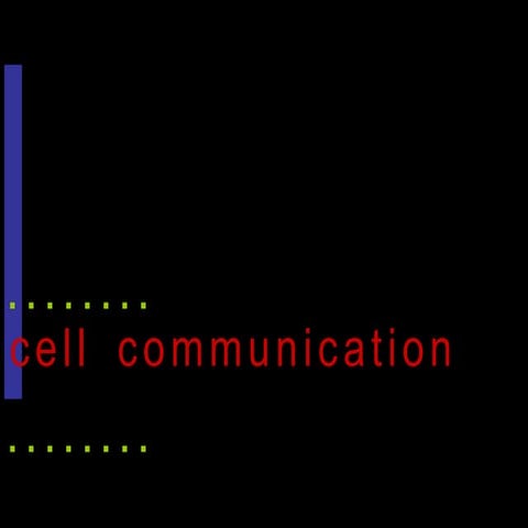 communication.ppt