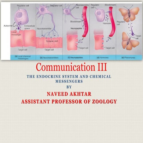 Communication III.pdf