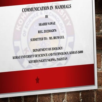 Communication in mammals