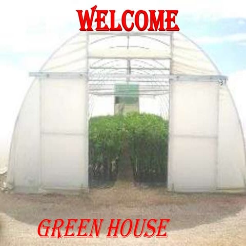 greenhouse