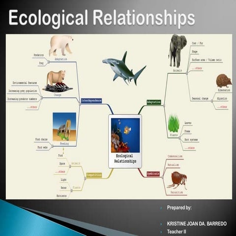 Communities  symbiosis