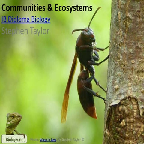 Communities and Ecosystems