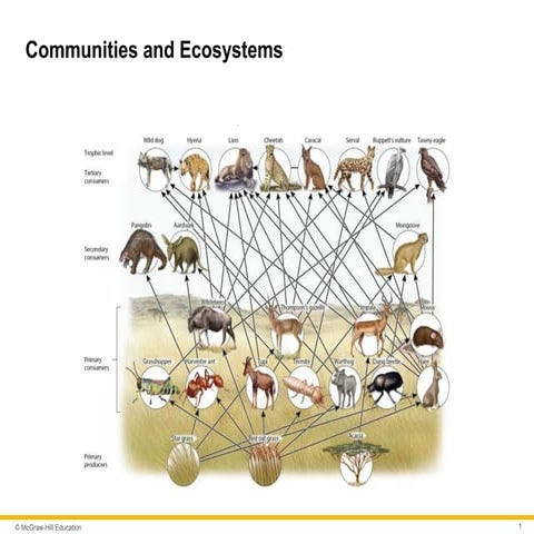 Communities and ecosystems