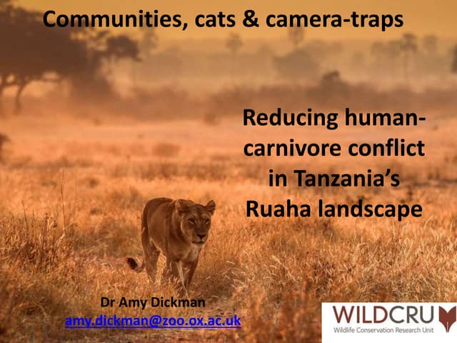Communities, cats and camera-traps: reducing human-carnivore conflict in Tanzania's Ruaha landscape
