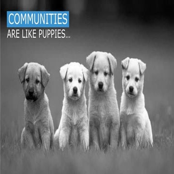 Social Media Communities Explained - They're Like Puppies