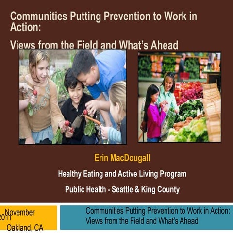 Communities Putting Prevention to Work In Action Views From the Field and Wha...