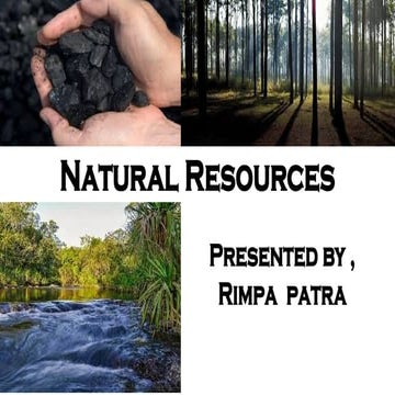 Community.pptxgggfgffffffdssgsyxaratywtw