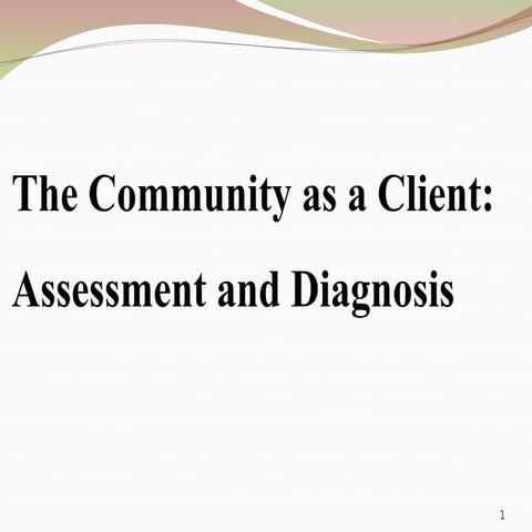 Community nursing process | PPT