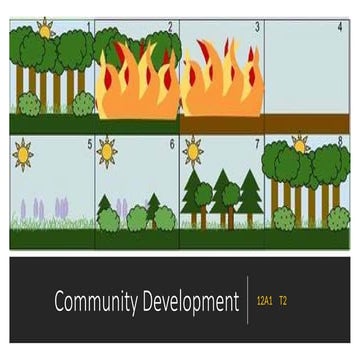 Community Development.pptxCommunity Development.pptx