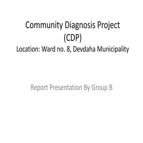 Community diagnosis project  report presentation Group-B