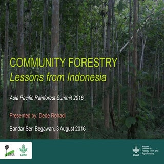 Community Forestry: Lessons from In...