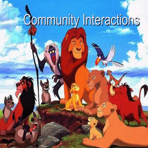 Community Interactions And Sucession