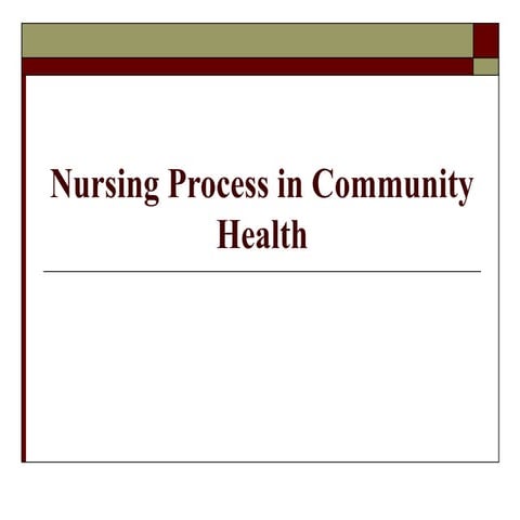 Community nursing process 