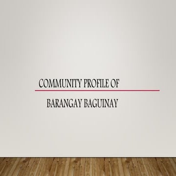 Community Profile of Barangay Baguinay 