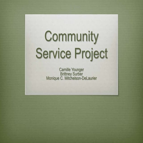 Community service project ii | PPTX