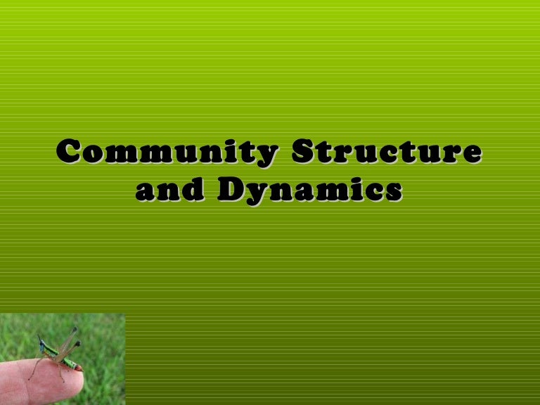 Community structure and dynamics