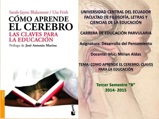 Como aprende el cerebro