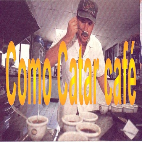 Como catar café