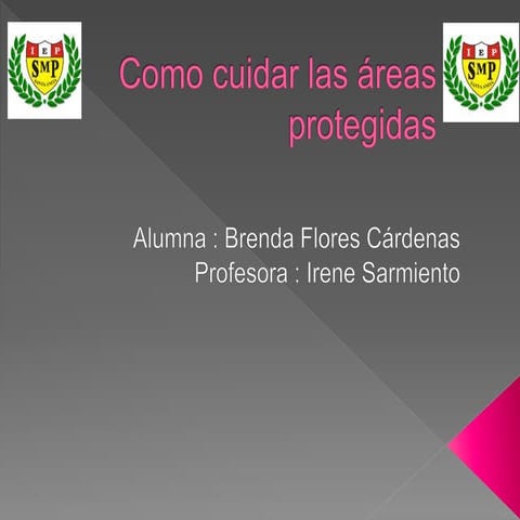 COMO CUIDAR LAS ÁREAS NATURALES  Y PROTEGIDAS