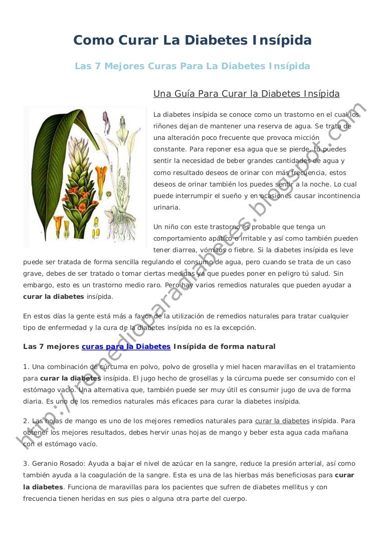 curar diabetes remedios naturales para
