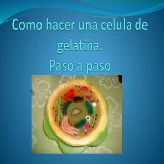 Como hacer una celula de gelatina
