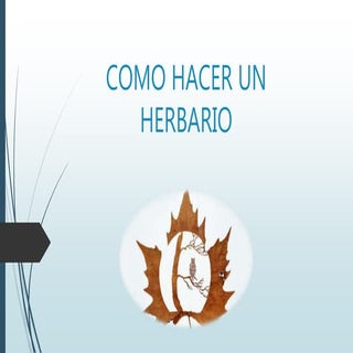 Como hacer un herbario