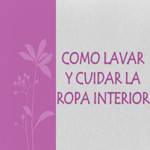 COMO LAVAR Y CUIDAR LA ROPA INTERIOR | PPTX
