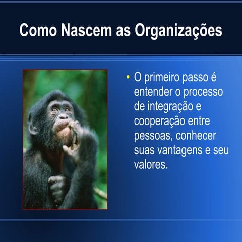Como nascem as organizações