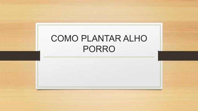 Como plantar Alho porro