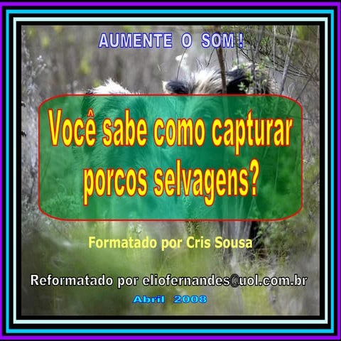 Como prender porco salva 