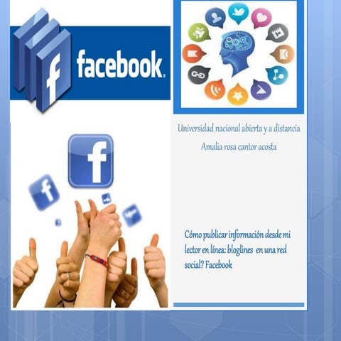 Como publicar informacion_desde_mi_lector_en_linea amalia cantor acosta