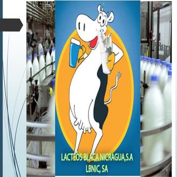 Como realizar un estudio tecnico